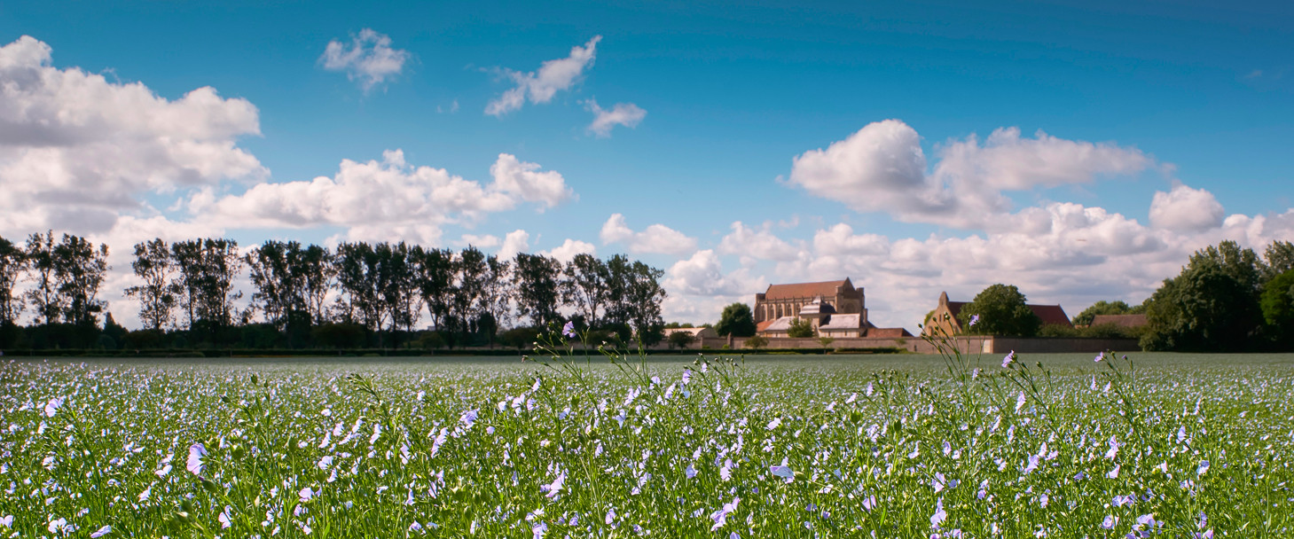 Institut Mémoires de l’édition contemporaine Abbaye